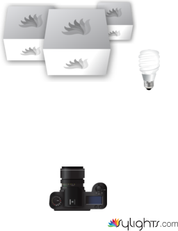 image 1 by Guest User