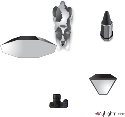 Toma 1 by Guest User