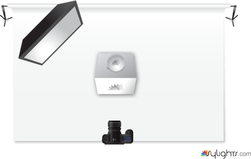 Kamila  by Guest User