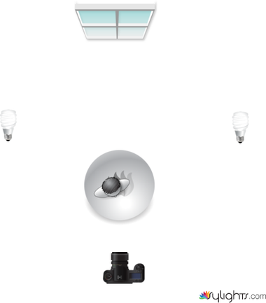 duck photoshoot by Guest User