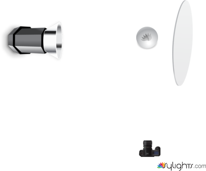 relleno blanco  by Guest User