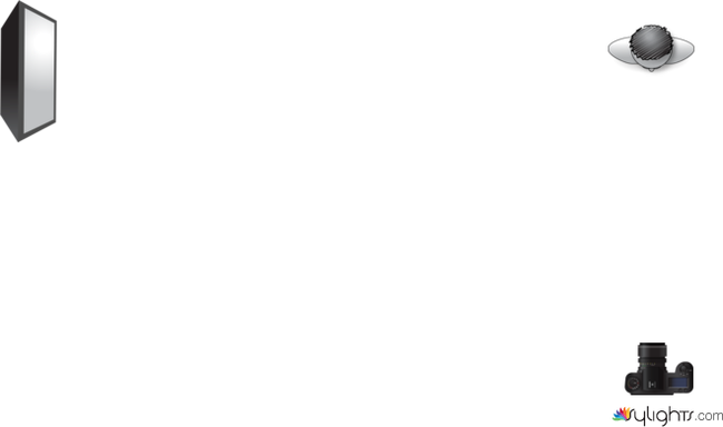 Ley Lambert by Guest User