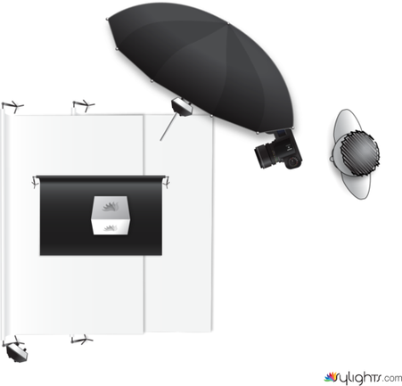 photo 1 - shoe by Guest User