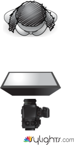 butterfly light  by Guest User