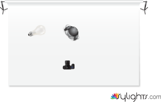 REMBRANDT by Guest User