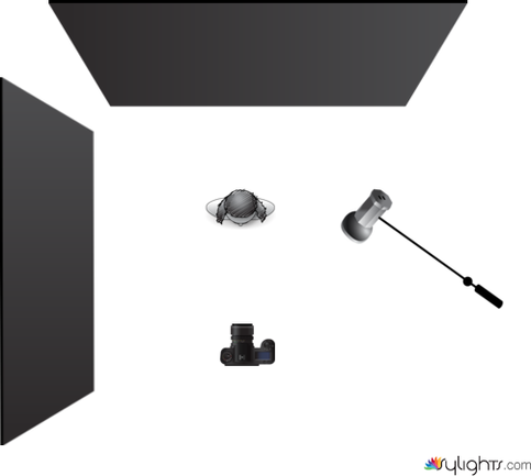 rembrandt by Guest User