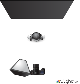 butterfly by Guest User