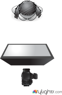 butterfly by Guest User