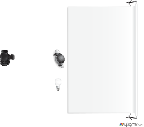 LUISA  by Guest User