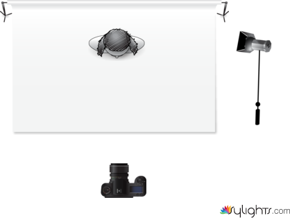 spliti light by Guest User