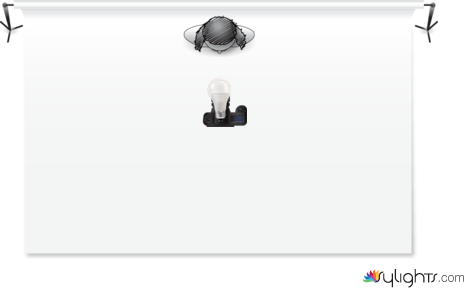 butterfly by Guest User