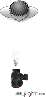 farfalla  by Guest User