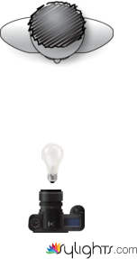 farfalla by Guest User