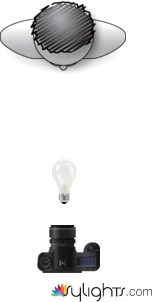 farfalla  by Guest User