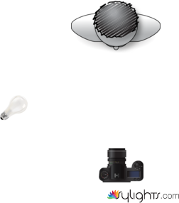 split  by Guest User