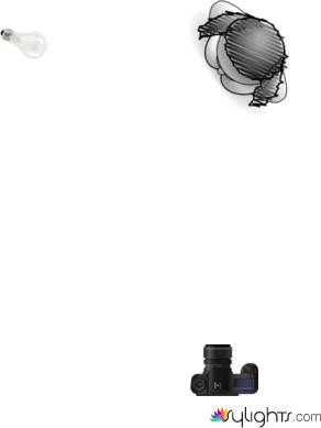 Marko Ghiraldo by Guest User