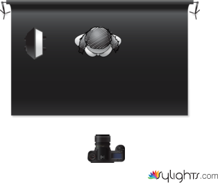 Brief 3 by Guest User