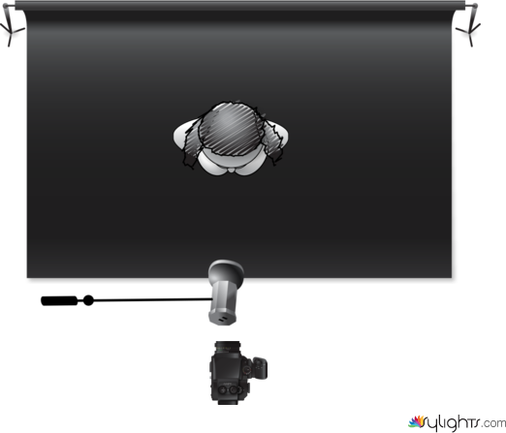 Butterfly light by Guest User