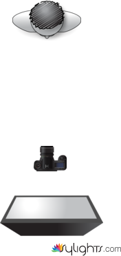 ES-03-B-VOLTOLINI-SHOOTINGBOARD by Guest User