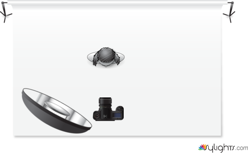 slayyy by Guest User