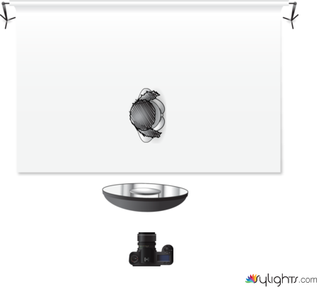 Pose 4 by Guest User