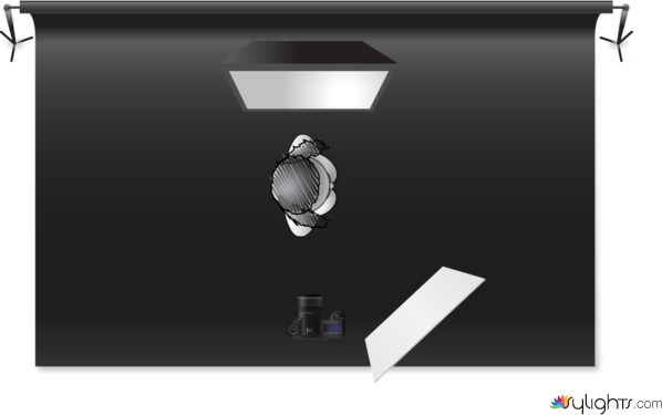 dual contrast by Guest User