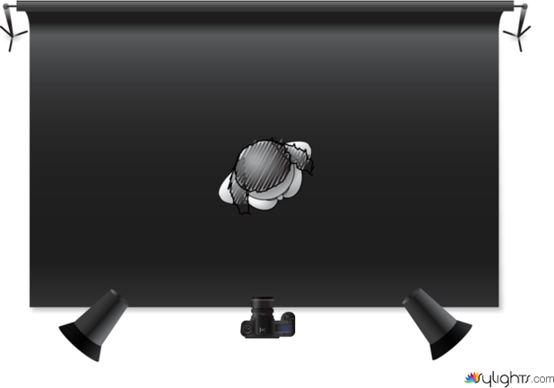 Portrait 1  by Guest User