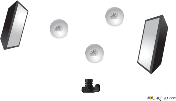 Molton by Guest User