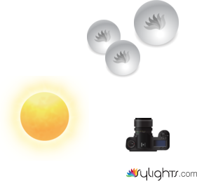 Harris by Guest User