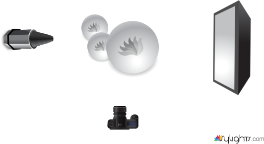 Image 4 by Guest User