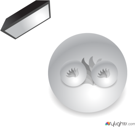 Image 5 by Guest User