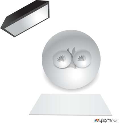 Image 5 by Guest User