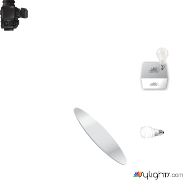 Impermanencia 1- by Guest User