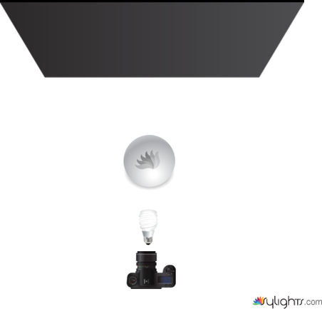 Planta Luces by Guest User