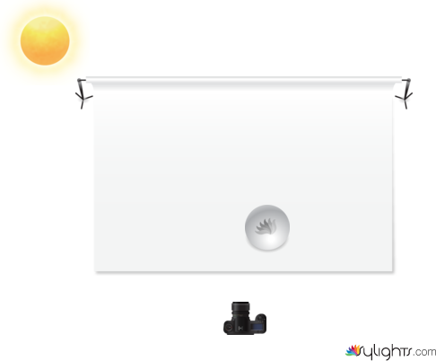 cosa by Guest User