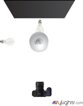 planta de luces by Guest User