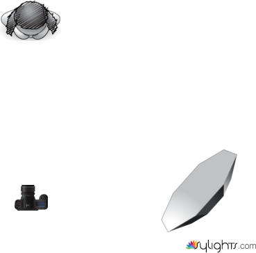 Rembrandt Lighting by Guest User