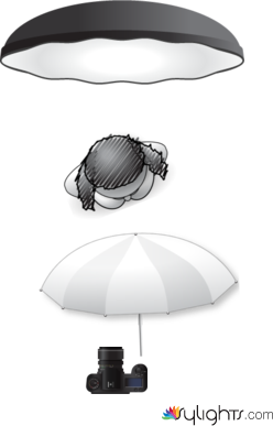 前後夾光 by Guest User