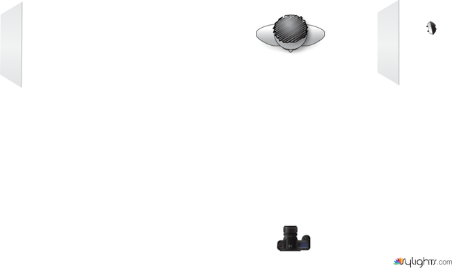 Broad Diffused close to light by Guest User
