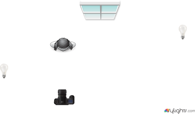 planta autorretrato by Guest User