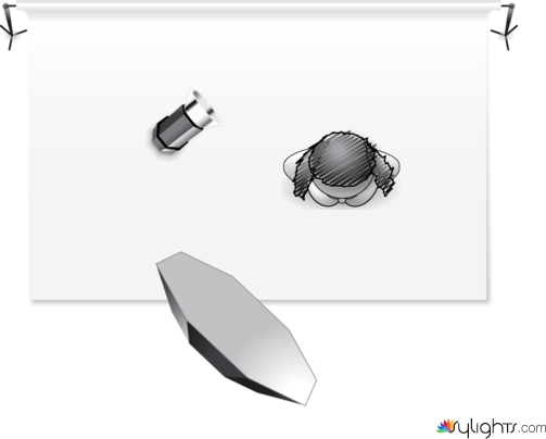 lakme by Guest User