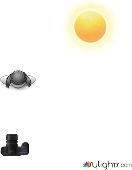 sun by Guest User
