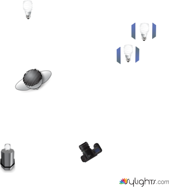 fede by Guest User
