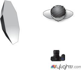 Lighting for the interviews for conservation collier  by Guest User