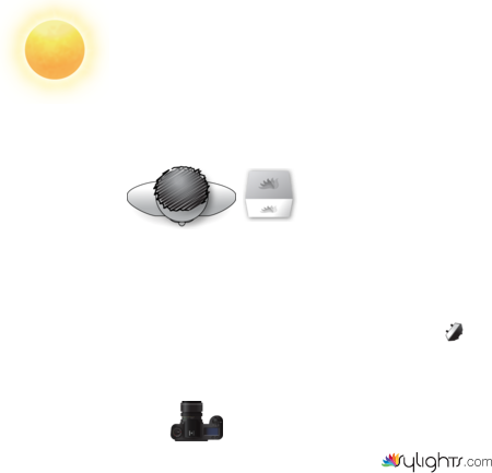 EDITORIAL DIAGRAM by Guest User