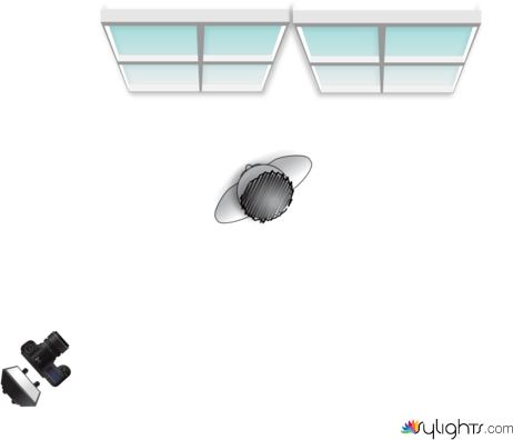 aina by Guest User