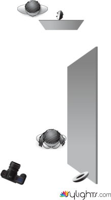 Planta by Guest User