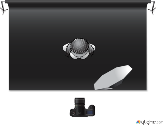 Black Background by Guest User