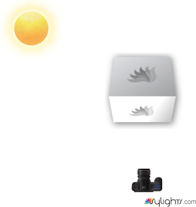 LANDSCAPE by Guest User