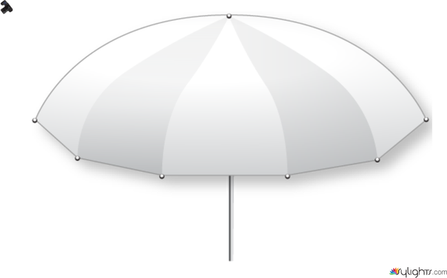 umbrella by Guest User